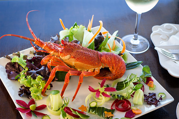 Cape West Coast Rock Lobster
